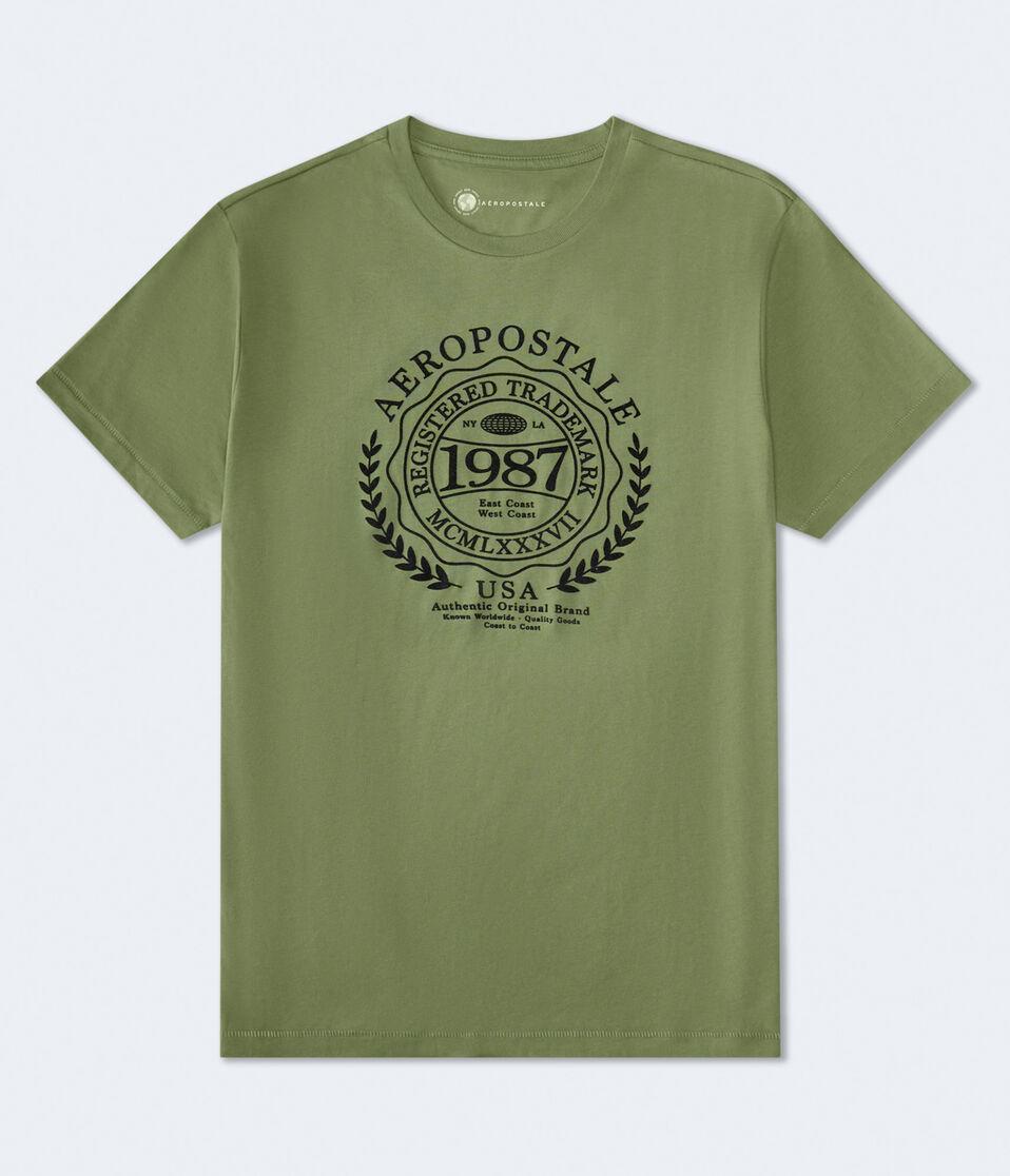 aéropostale Aeropostale Laurel Circle Flocked Graphic Tee eucalyptus