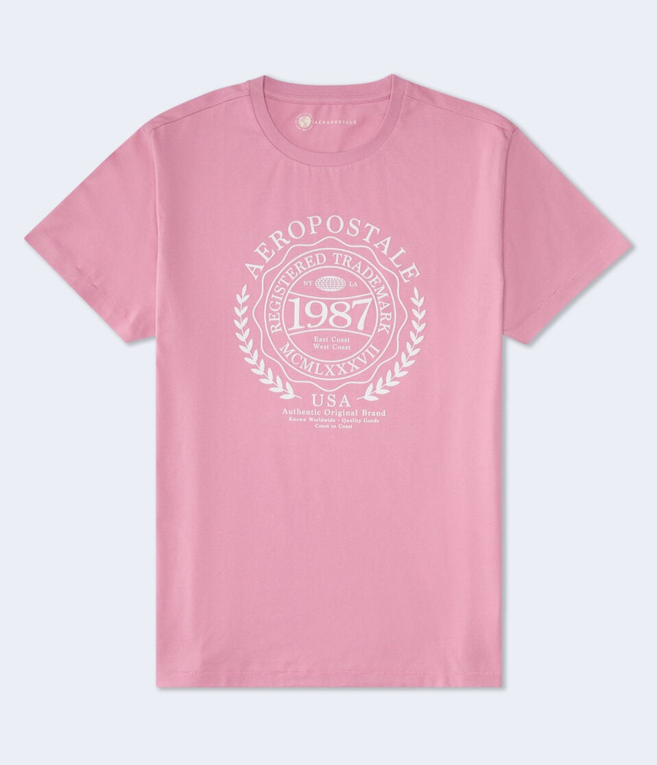 aéropostale Aeropostale Laurel Circle Flocked Graphic Tee gala pink