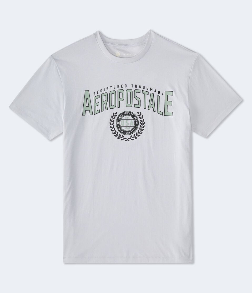 aéropostale Aeropostale Laurels Logo Graphic Tee grey vine