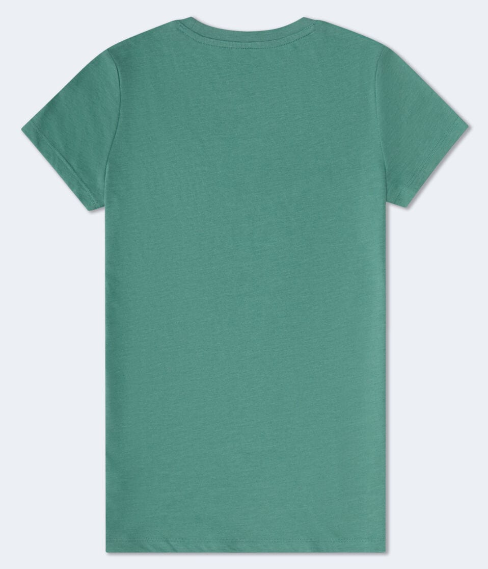 Aéropostale Aeropostale Leisure Club Appliqué Graphic Tee Lush Green