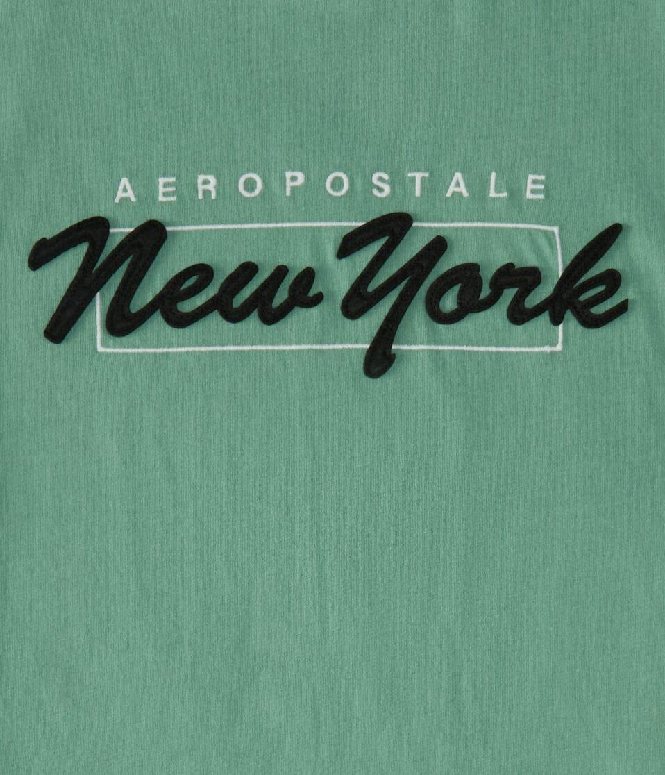 Aéropostale Aeropostale New York Box Logo Appliqué Graphic Tee Absinthe Green