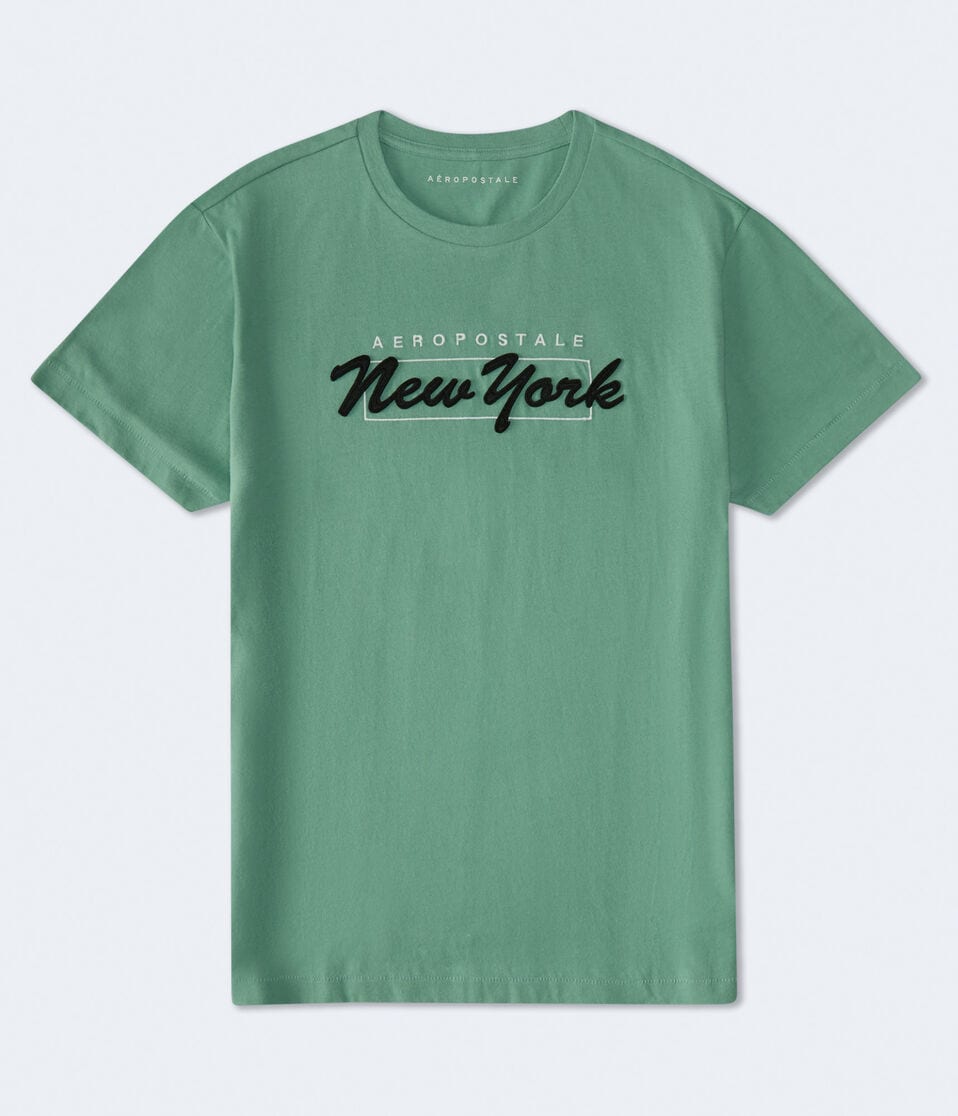 aéropostale Aeropostale New York Box Logo Appliqué Graphic Tee absinthe green