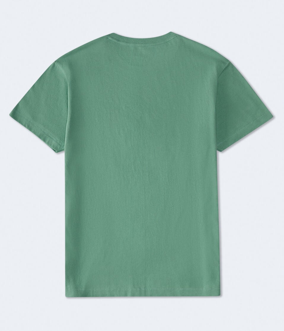 Aéropostale Aeropostale New York Box Logo Appliqué Graphic Tee Absinthe Green