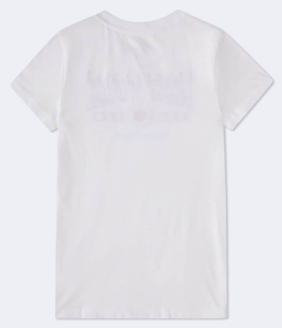 Aéropostale Aeropostale New York Cherry Graphic Tee Bleach