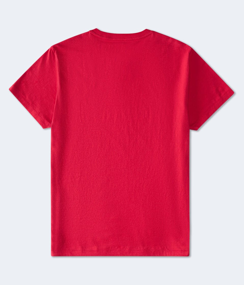 Aéropostale Aeropostale NYC Circle Appliqué Graphic Tee Red Zinna