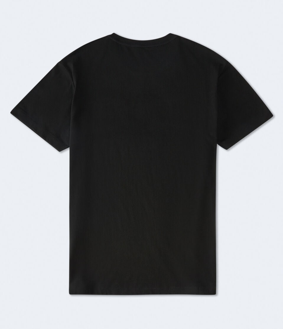 Aéropostale Aeropostale Oval Appliqué Graphic Tee Black Fox