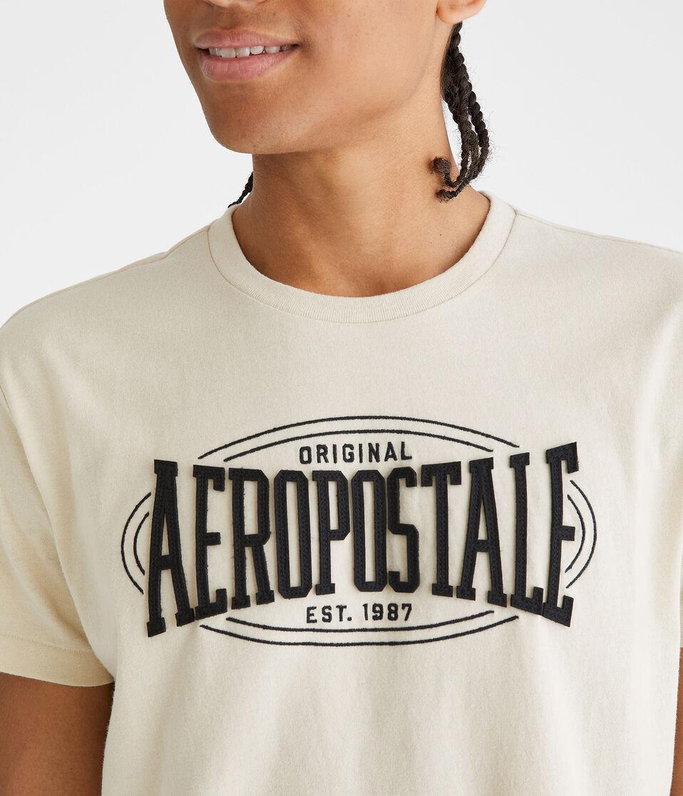 Aéropostale Aeropostale Oval Appliqué Graphic Tee Bungalow
