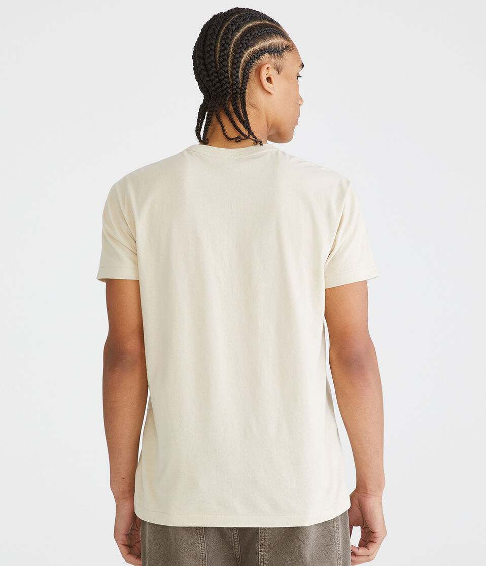 Aéropostale Aeropostale Oval Appliqué Graphic Tee Bungalow
