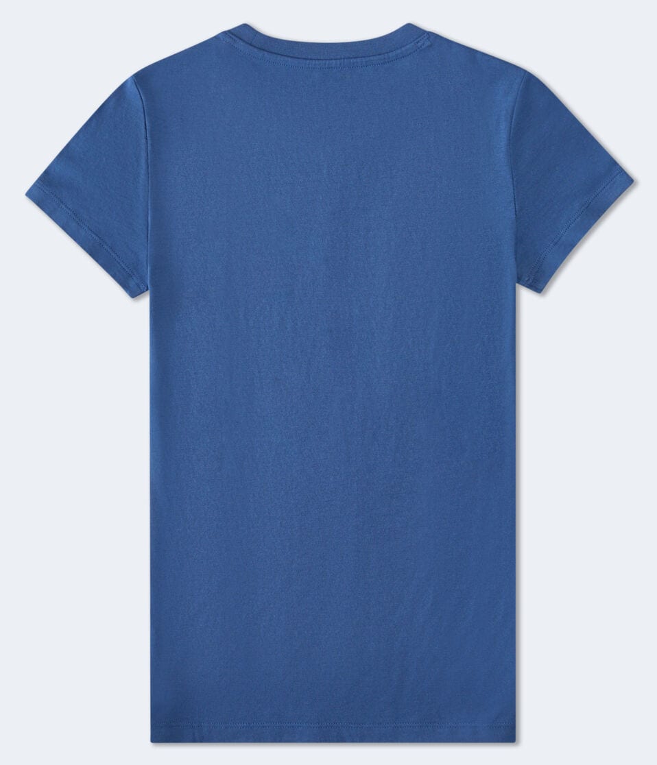 Aéropostale Aeropostale Palm Tree Graphic Tee Indigo Ink