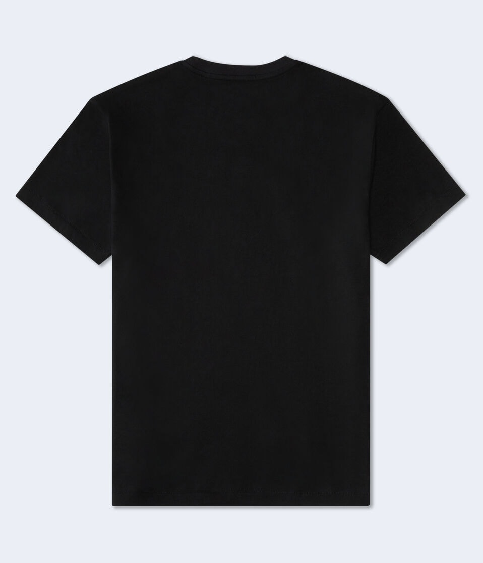 Aéropostale Aeropostale Pride Appliqué Graphic Tee Black Fox