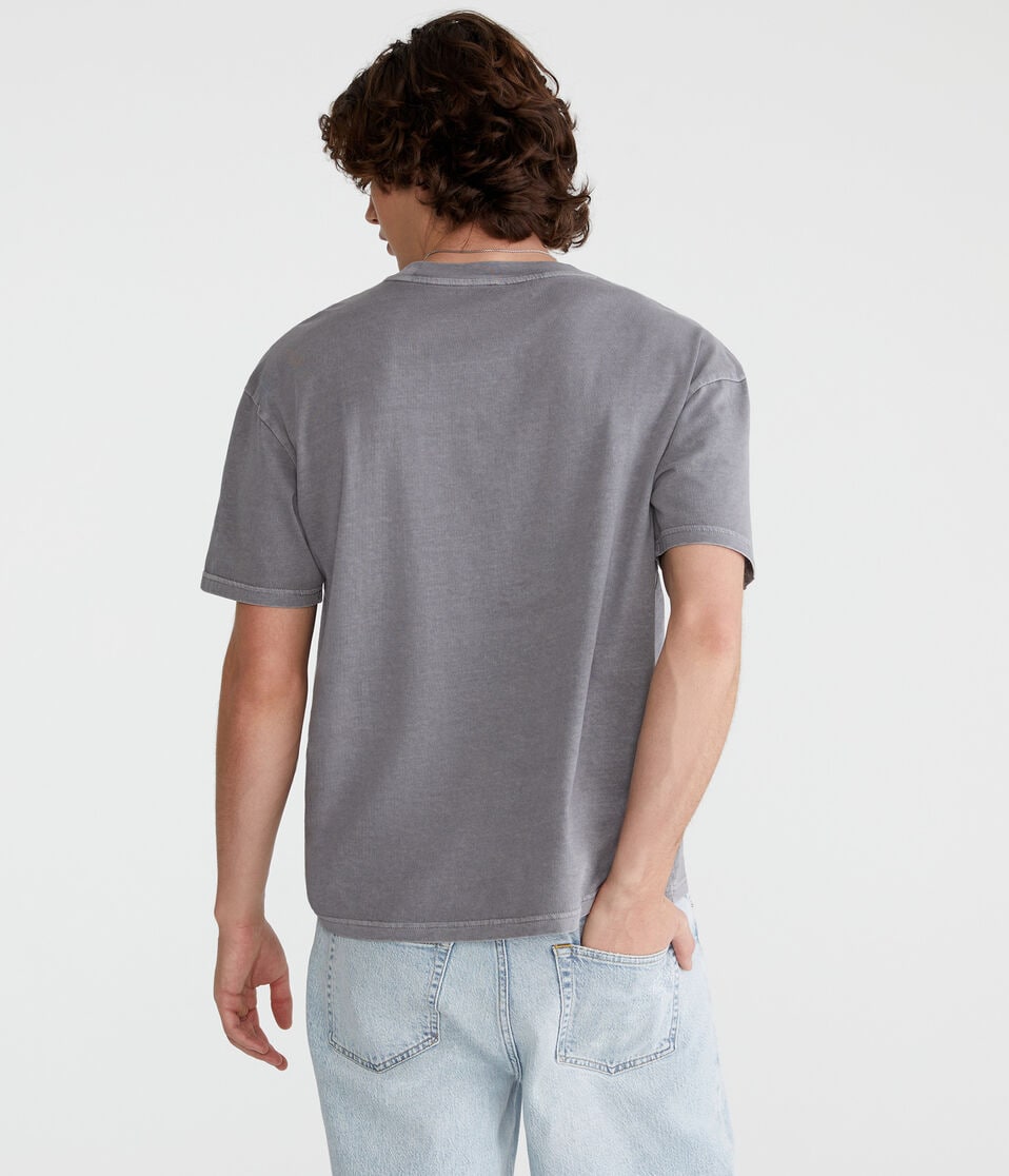 Aéropostale Relaxed Fit Crew Tee Dark Chocolate