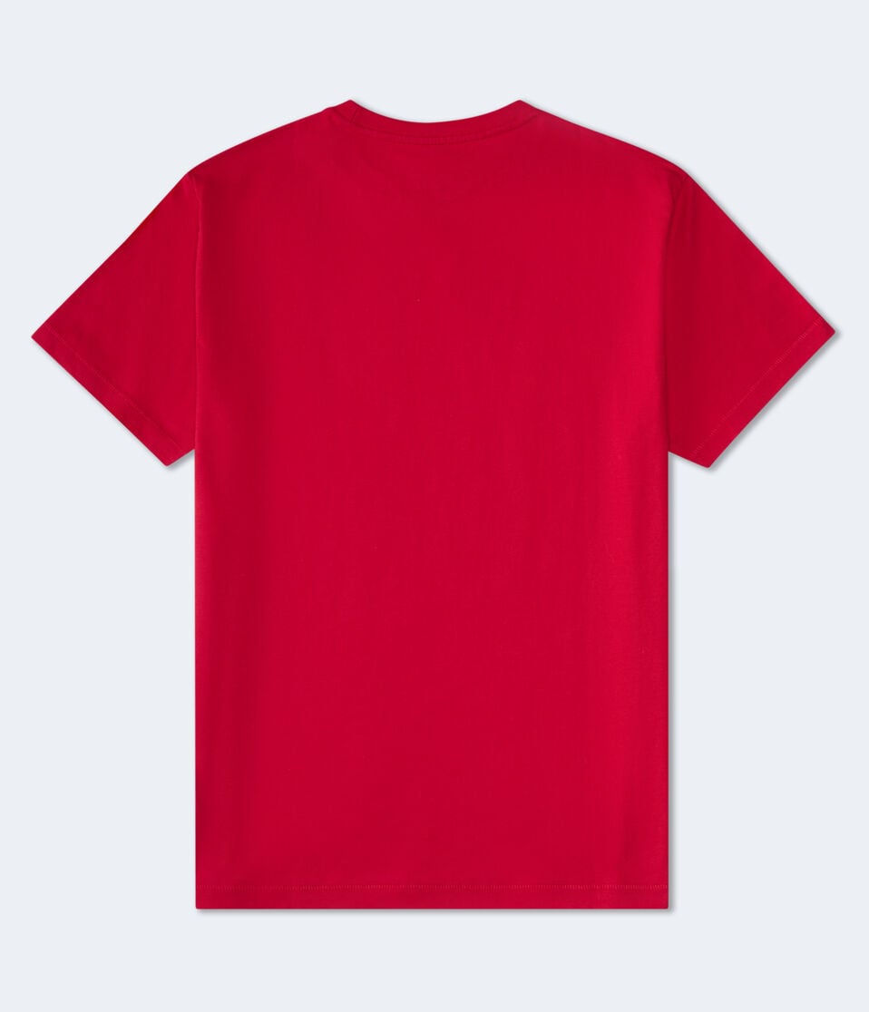Aéropostale Aeropostale Screw Logo Graphic Tee Red Cedar