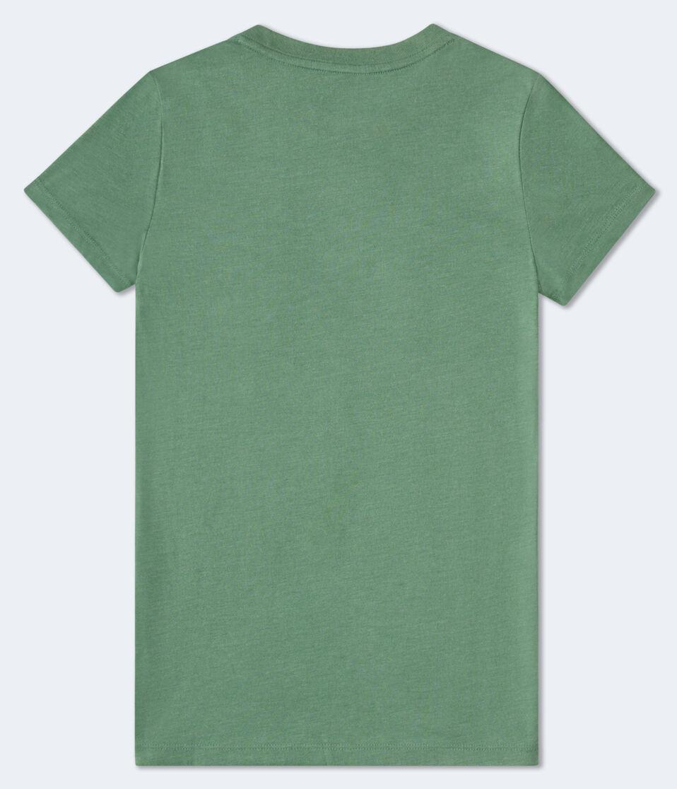 Aéropostale Aeropostale Script Rose Glitter Graphic Tee Tree Frog