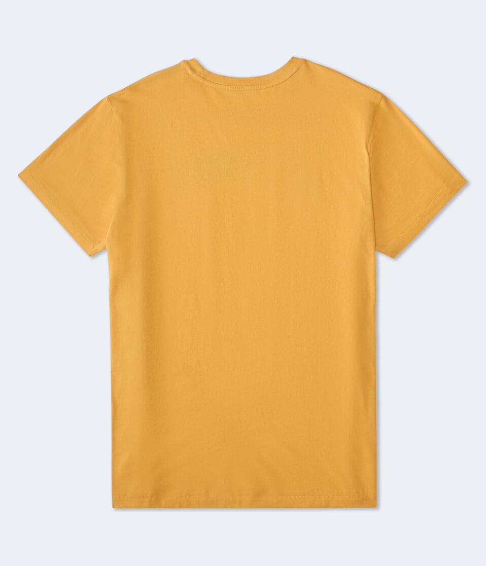 Aéropostale Aeropostale Shield Crest Graphic Tee Dark Yellow