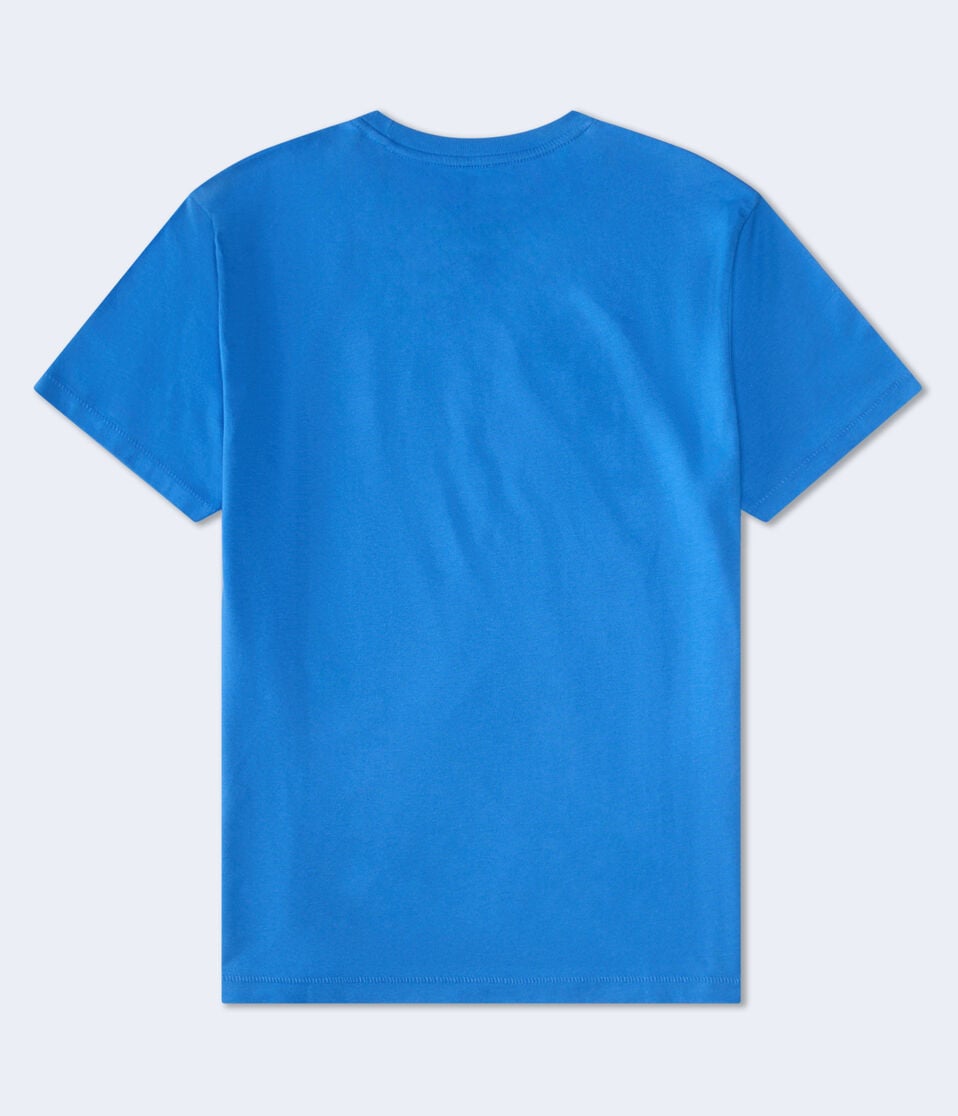 Aéropostale Aeropostale Split Logo Flocked Graphic Tee Palace Blue