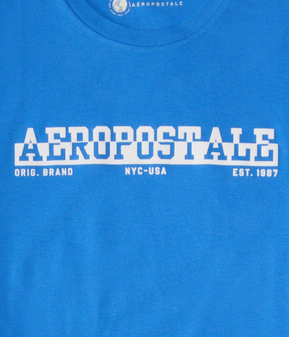 Aéropostale Aeropostale Split Logo Flocked Graphic Tee Palace Blue