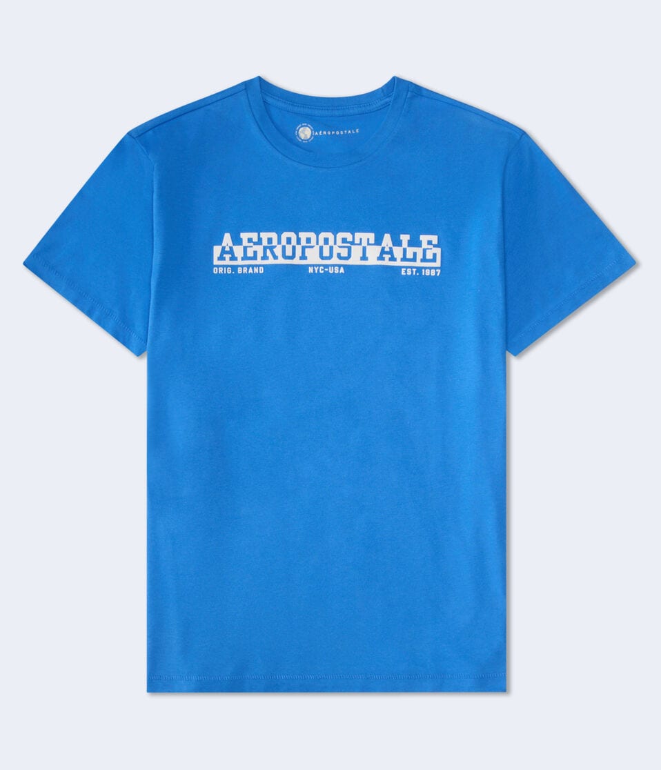 aéropostale Aeropostale Split Logo Flocked Graphic Tee palace blue