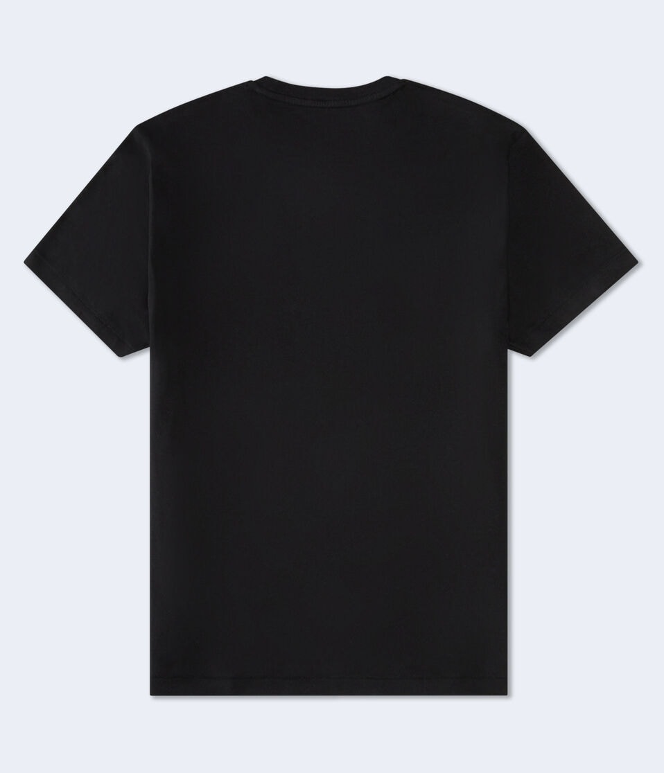 Aéropostale Aeropostale Statue Of Liberty Appliqué Graphic Tee Black Fox