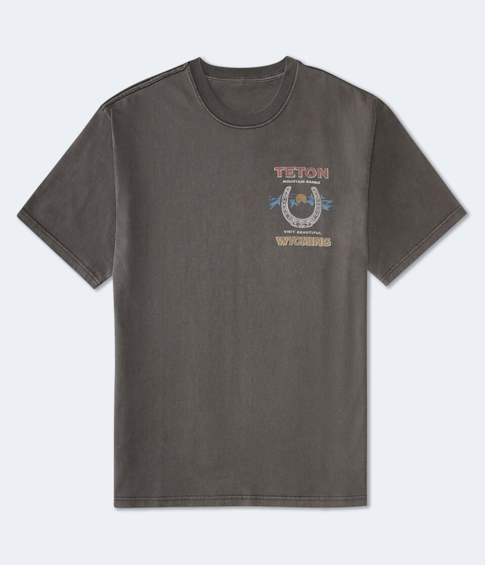 Aéropostale Teton Wyoming Cowboy Graphic Tee Grey