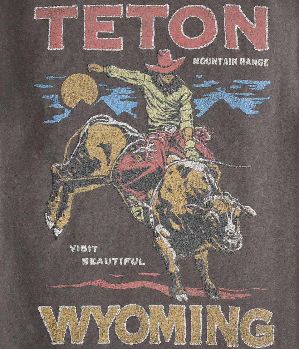 Aéropostale Teton Wyoming Cowboy Graphic Tee Grey