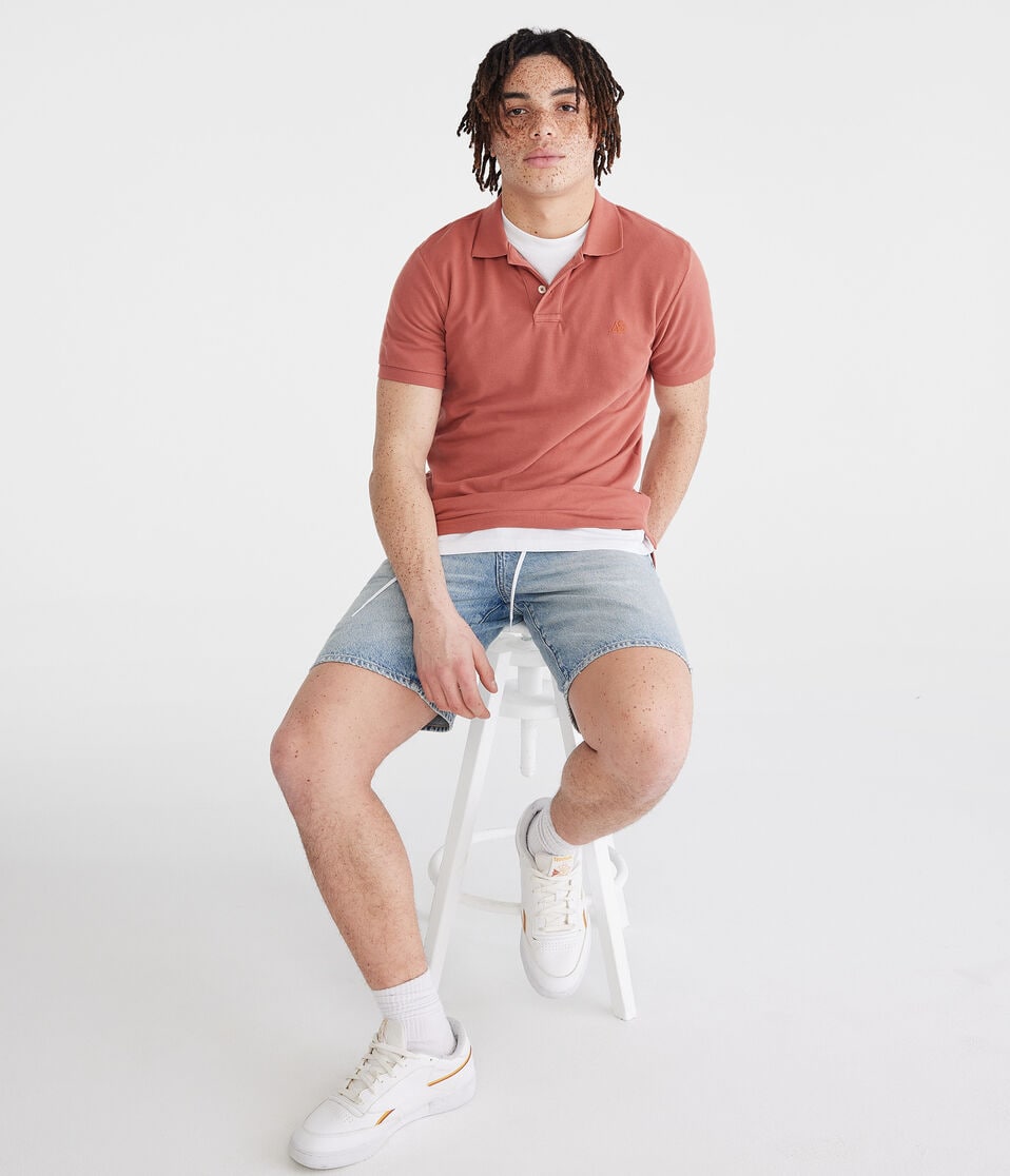 Aéropostale Tonal A87 Logo Piqué Polo Antler Brown