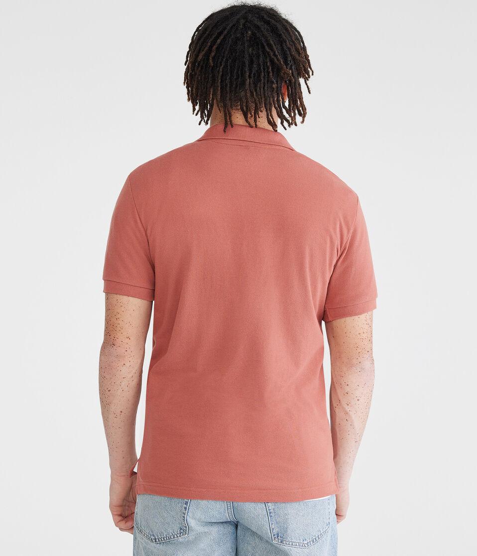 Aéropostale Tonal A87 Logo Piqué Polo Antler Brown