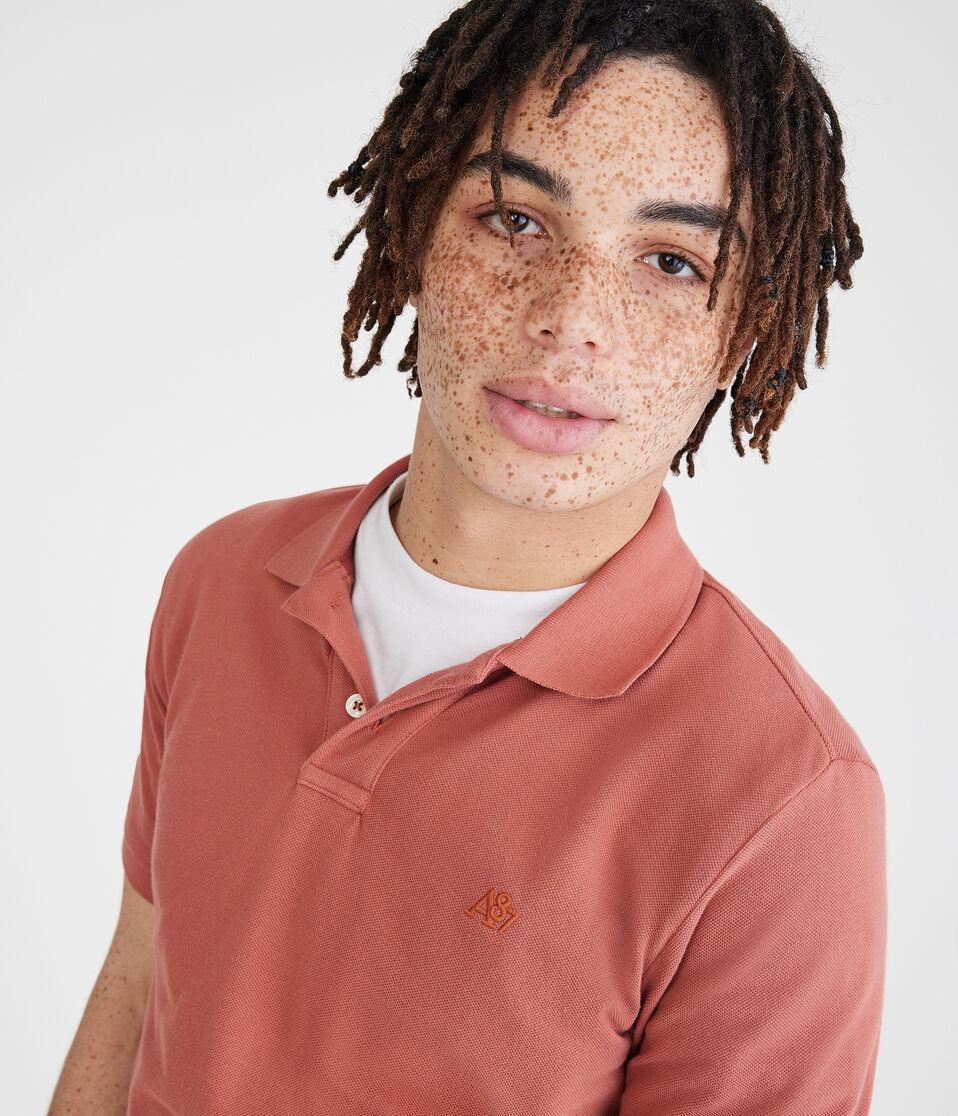 Aéropostale Tonal A87 Logo Piqué Polo Antler Brown