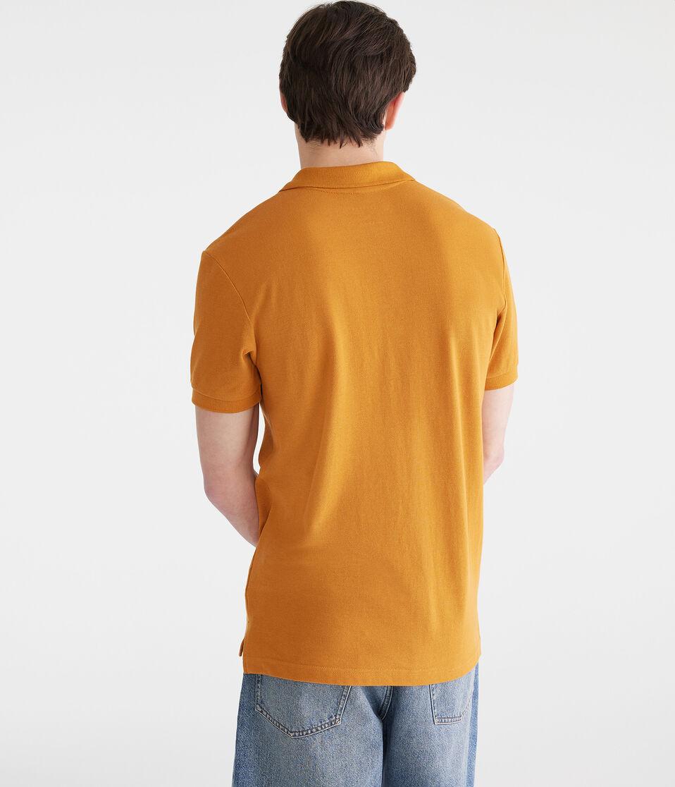 Aéropostale Tonal A87 Logo Piqué Polo Sudan Brown