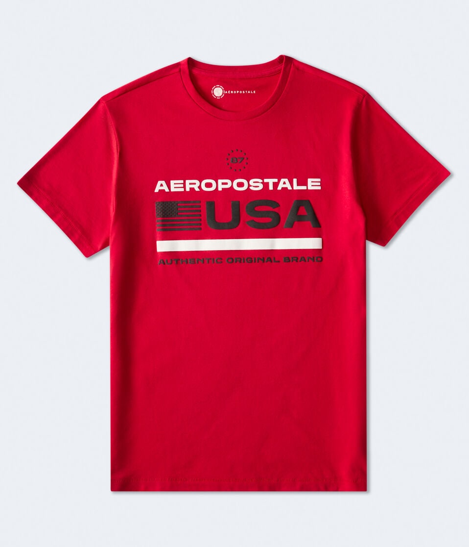 aéropostale Aeropostale USA Flag Graphic Tee grenadine