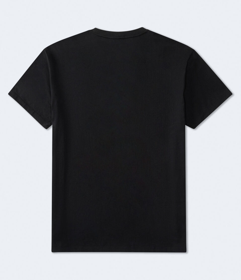Aéropostale Aeropostale USA Logo Graphic Tee Black Fox