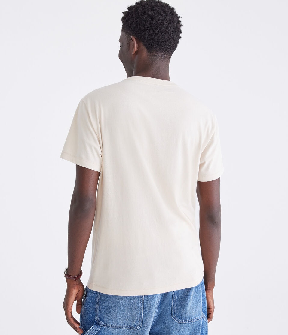 Aéropostale Aeropostale Vertical Appliqué Graphic Tee Bungalow