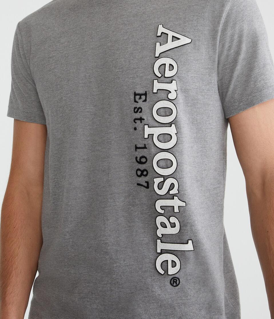 Aéropostale Aeropostale Vertical Appliqué Graphic Tee Med Hthr Grey