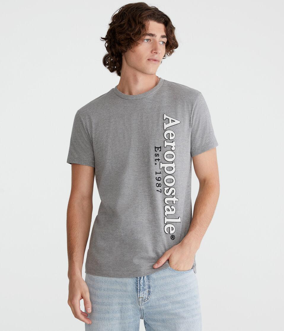 aéropostale Aeropostale Vertical Appliqué Graphic Tee med hthr grey