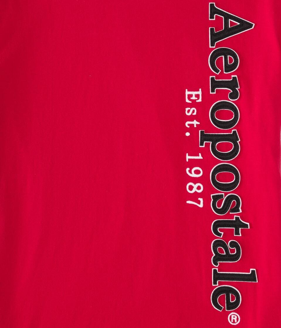 Aéropostale Aeropostale Vertical Appliqué Graphic Tee Red Cedar