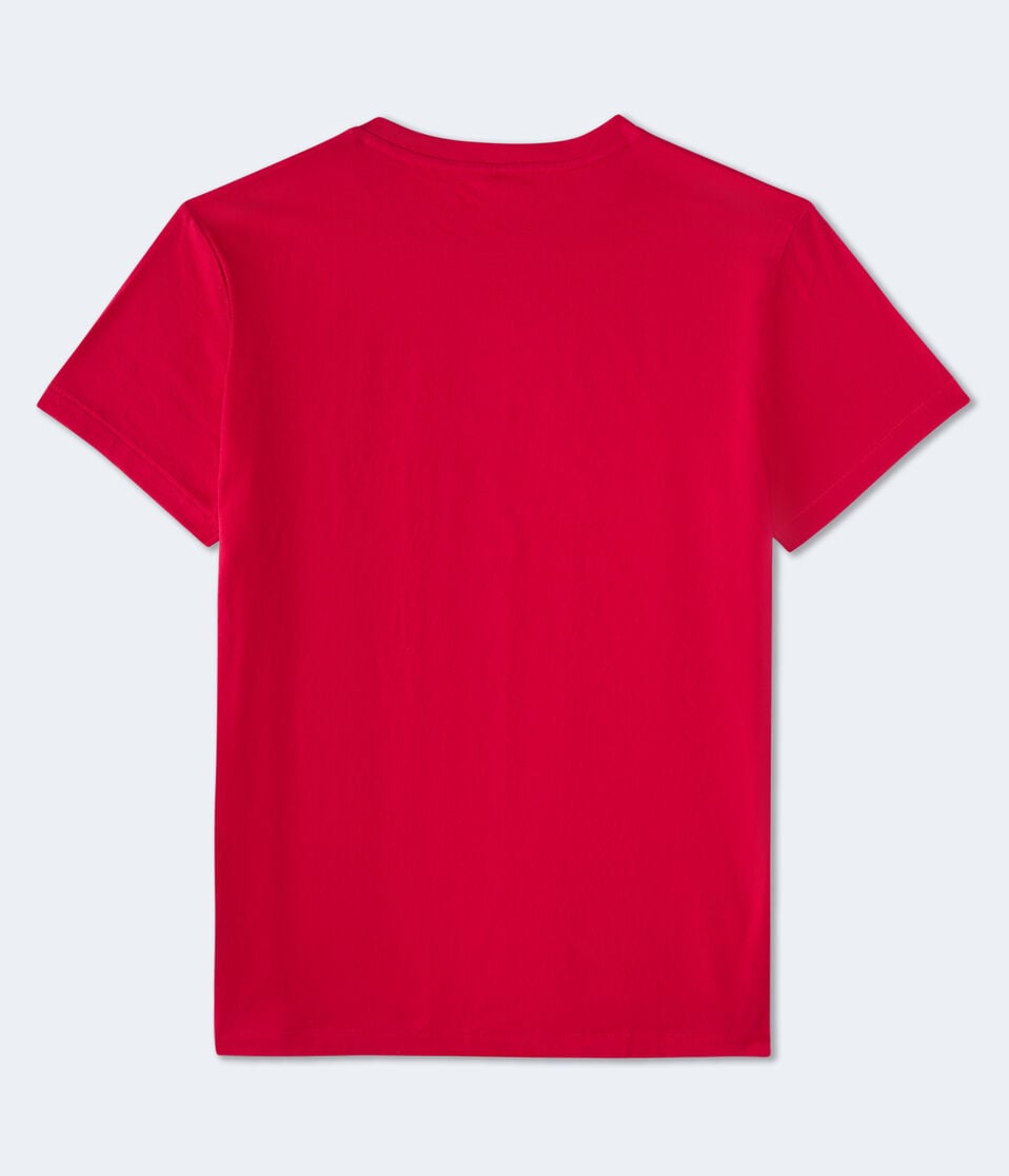 Aéropostale Aeropostale Vertical Appliqué Graphic Tee Red Cedar