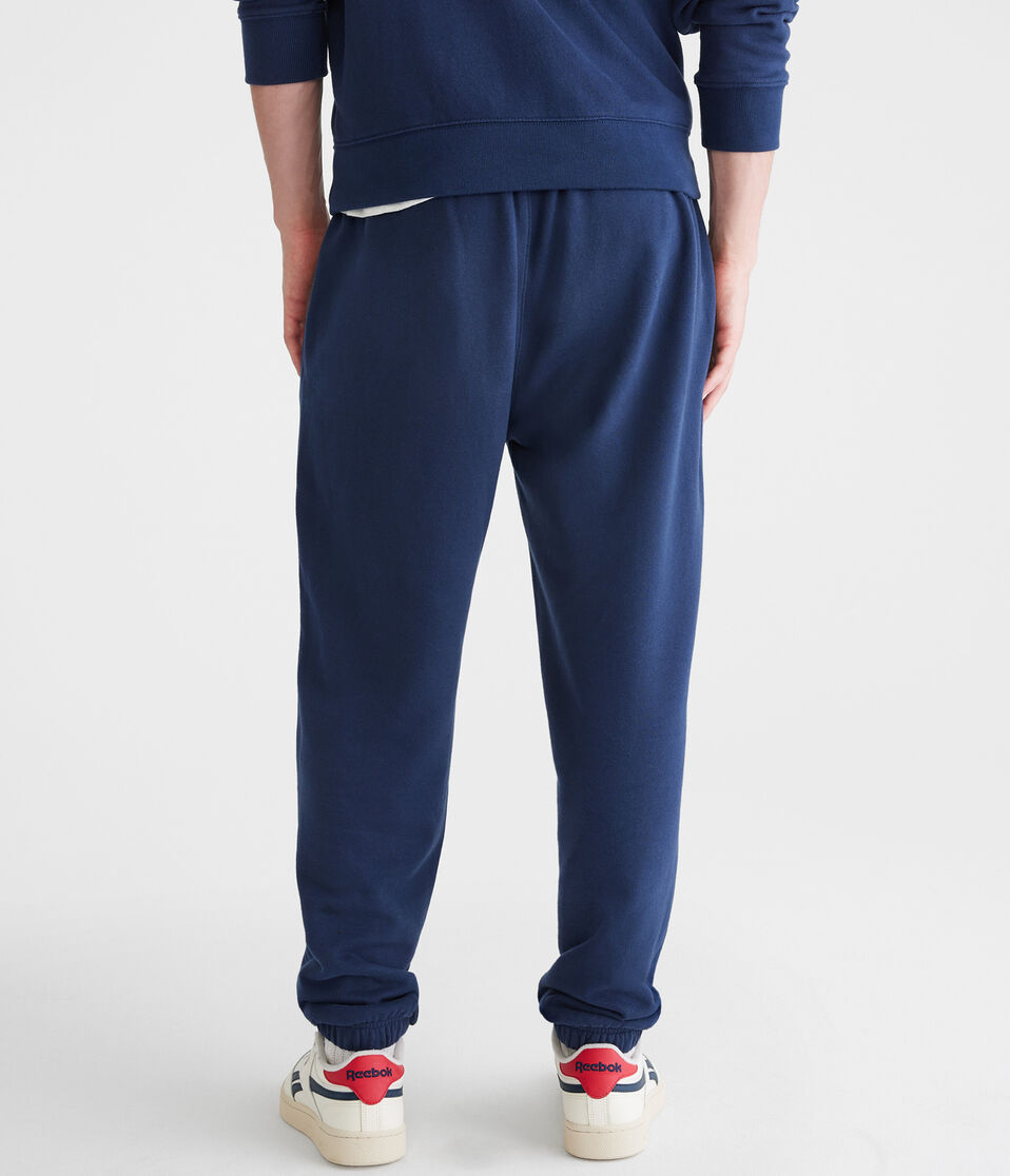 Aéropostale Aeropostale Vertical Logo Jogger Sweatpants Cadet Navy