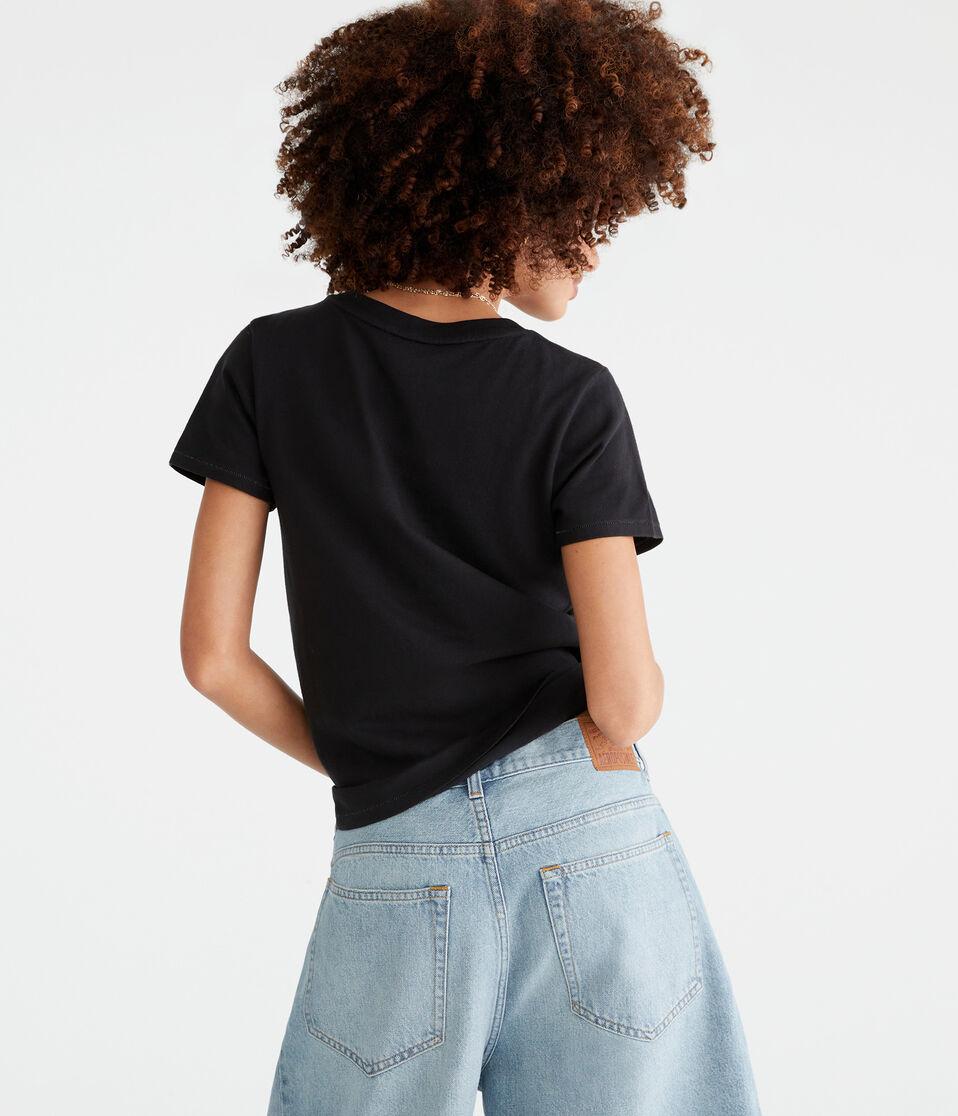 Aéropostale Washed Vintage Fit Crew Tee Black Fox