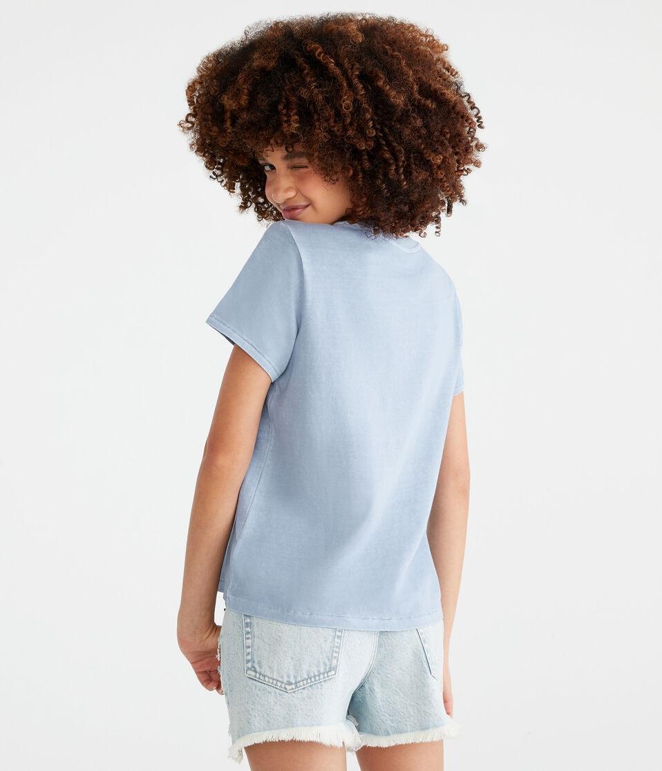 Aéropostale Washed Vintage Fit Crew Tee Blue Wish