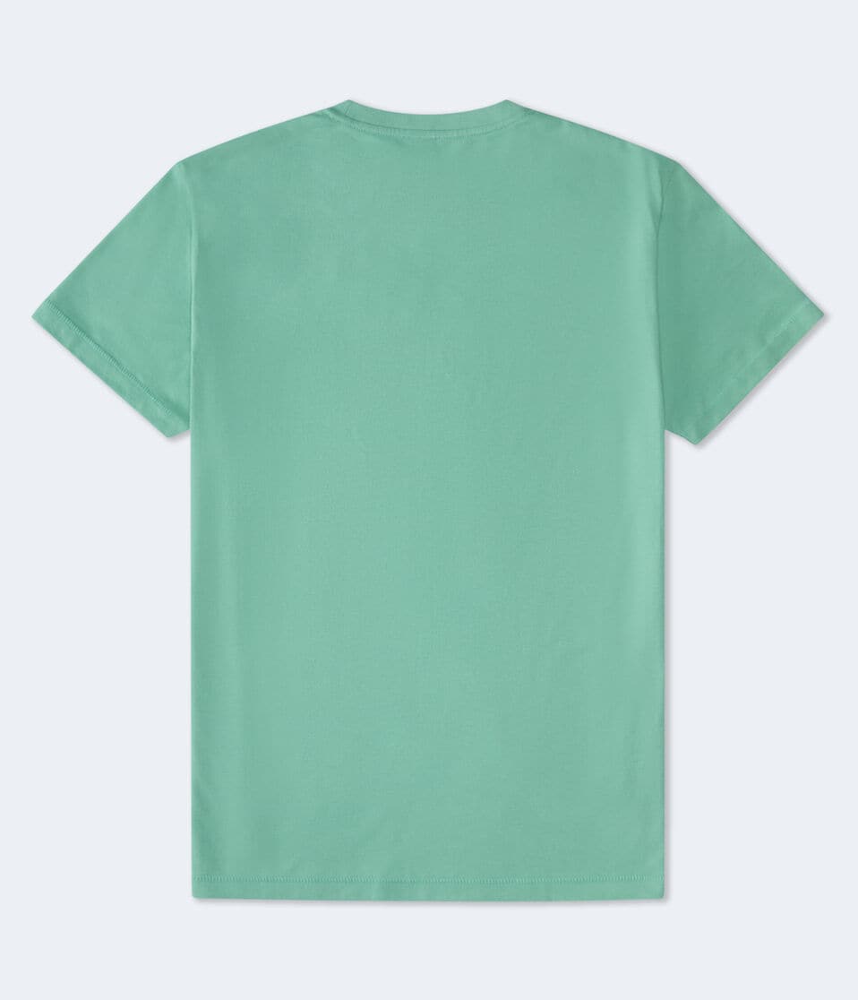 Aéropostale Aeropostale West Coast Graphic Tee Hedge Green