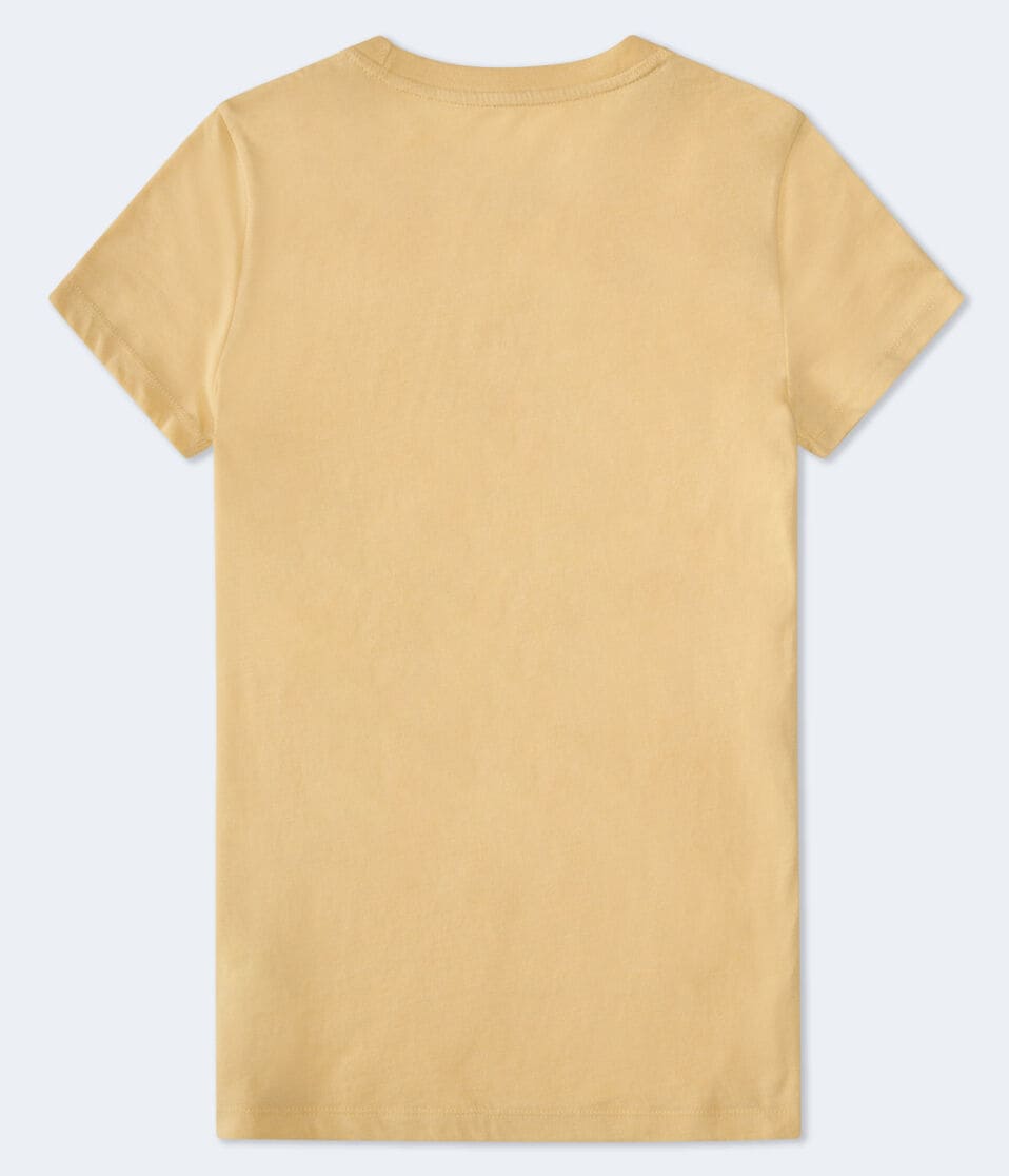 Aéropostale Aeropostale Winged Heart Flocked Graphic Tee Baby Corn