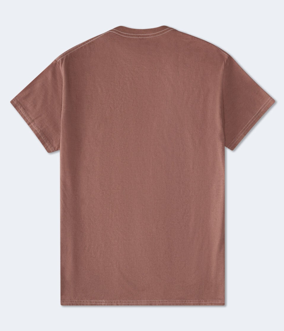 Aéropostale Bambi & Friends Oversized Graphic Tee Brown
