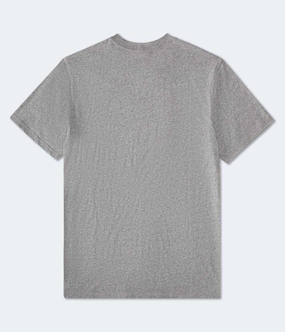 Aéropostale Charlotte Hornets Mascot Relaxed Graphic Tee Grey