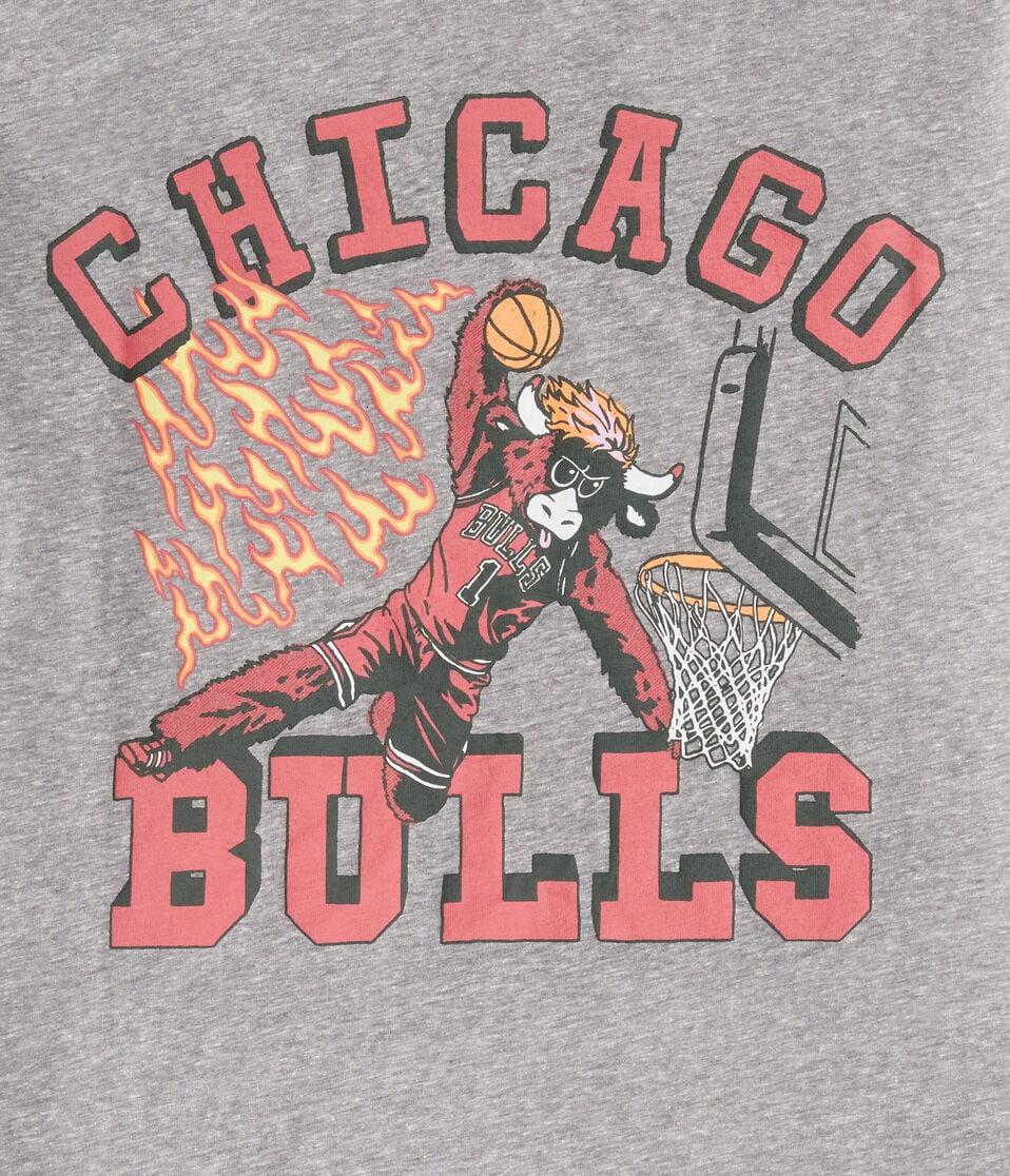 Aéropostale Chicago Bulls Mascot Relaxed Graphic Tee Grey