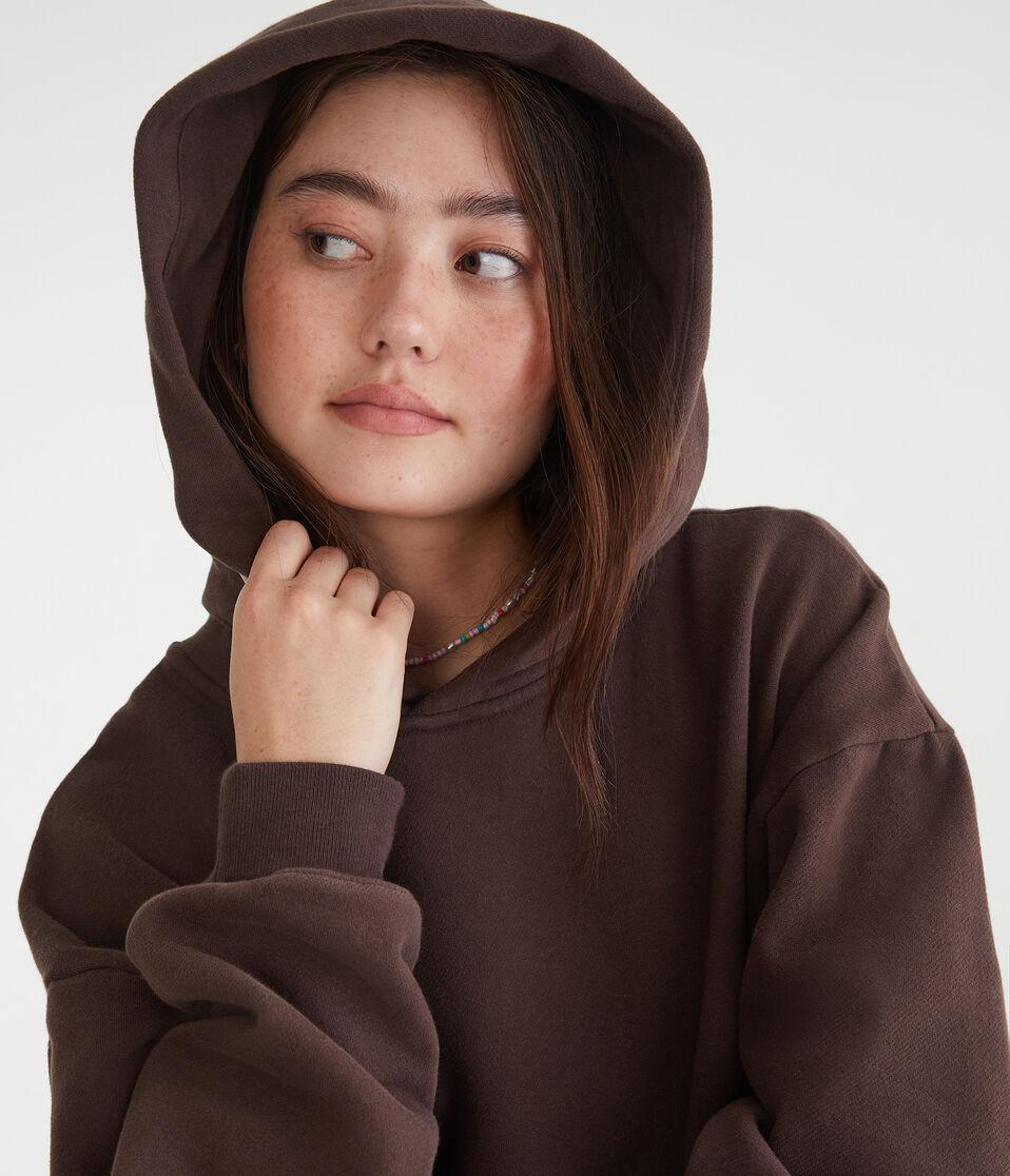 Aéropostale Cloud Soft Pullover Hoodie Jaspe Muted Ebony