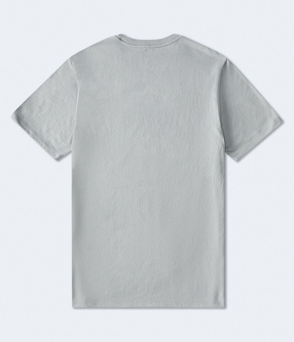 Aéropostale Cowgirl Aaliyah Oversized Graphic Tee Grey