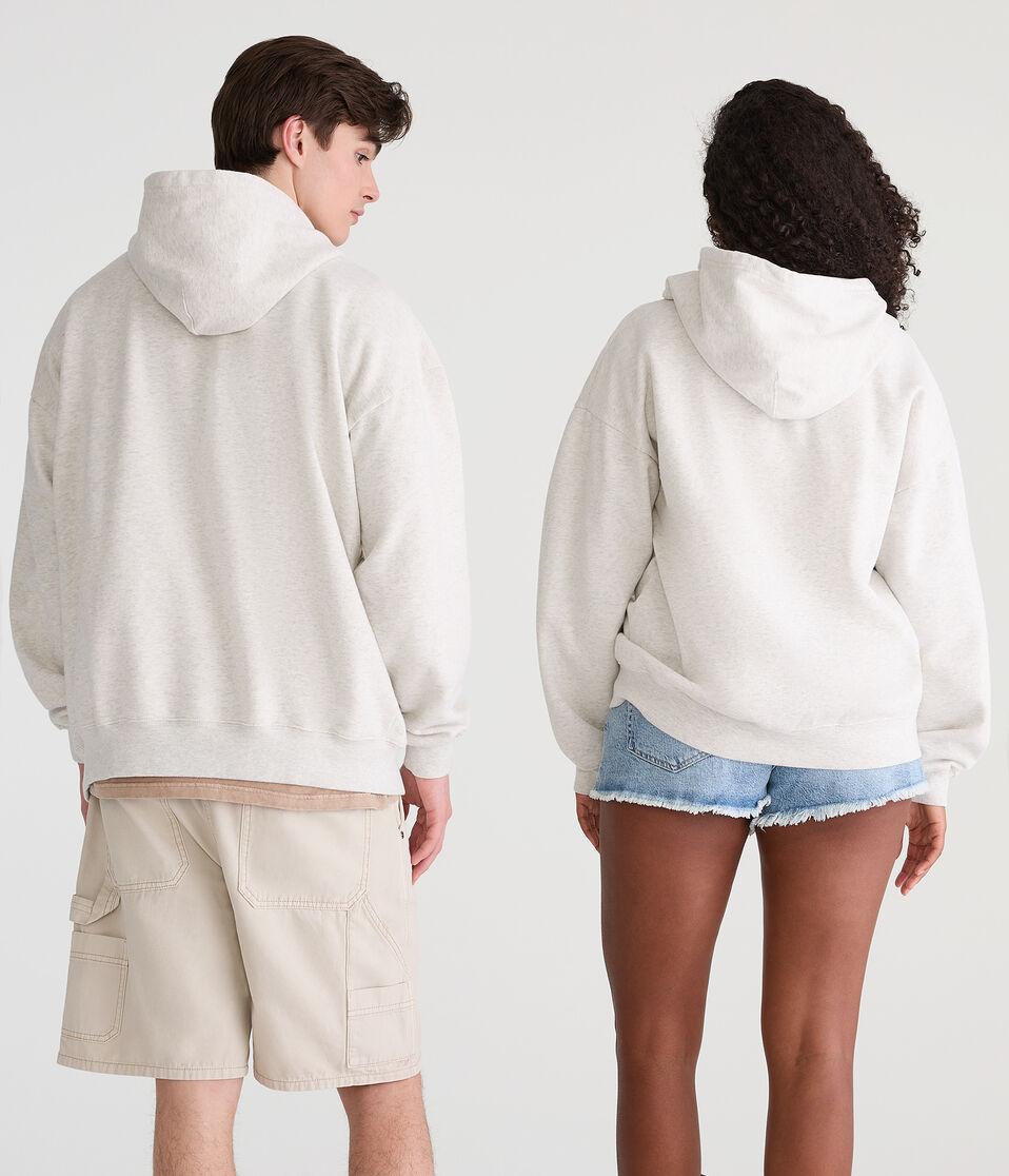 Aéropostale Dallas Texas Essentials Full-Zip Hoodie Lightest Heather Grey