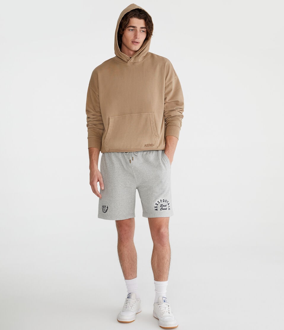 Aéropostale East Coast Heritage Fleece Shorts 7" Light Heather Grey