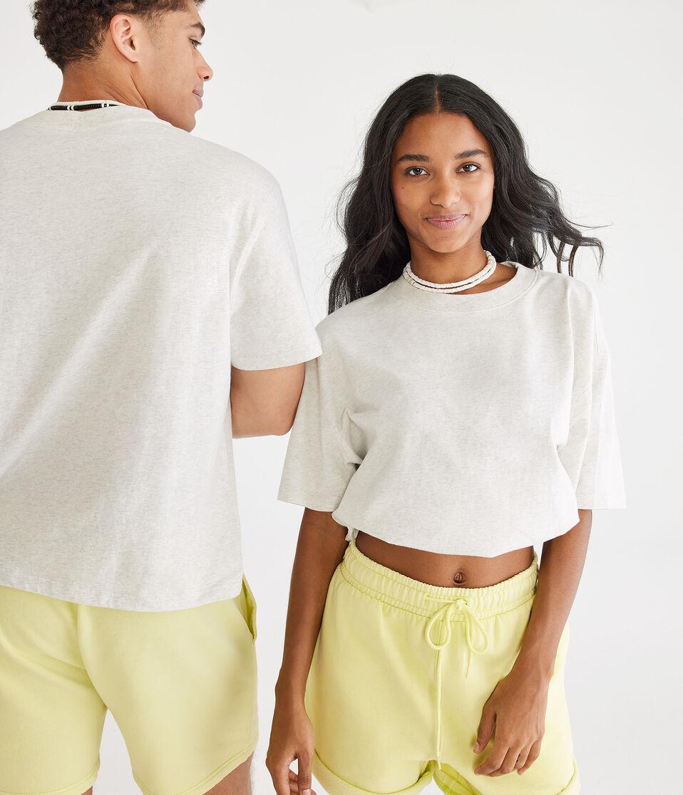 Aéropostale Essentials Boxy Crew Tee Lightest Heather Grey