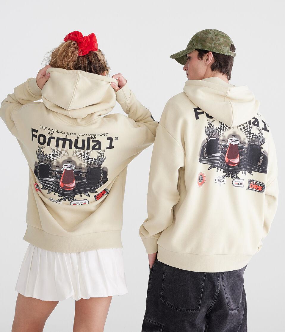 Aéropostale Formula 1® Pinnacle Of Motorsport Pullover Hoodie Canvas Tote