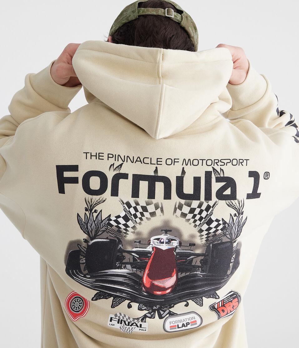 Aéropostale Formula 1® Pinnacle Of Motorsport Pullover Hoodie Canvas Tote